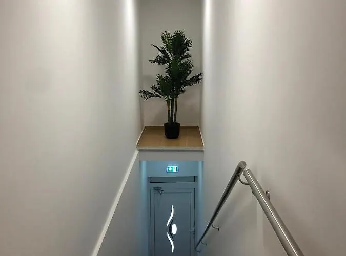 Marqueses De Ferreira 宾馆 *